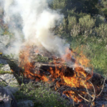 Επιβολή διοικητικού προστίμου λόγω μη τήρησης μέτρων πυρασφάλειας στη Ζάκυνθο